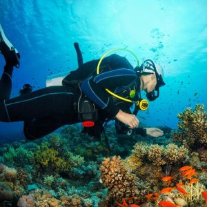 Diving