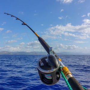 Rods