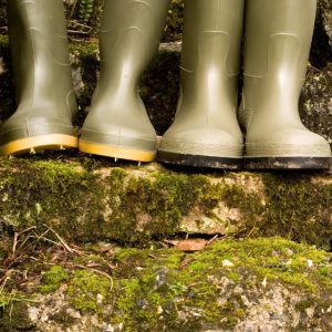 Wellingtons