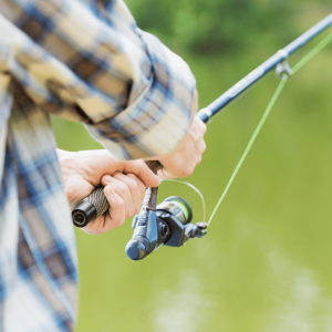 Fixed Spool Reels